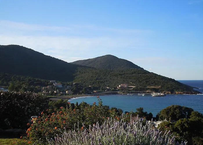 Roc A Mare